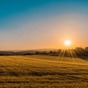 Vida no campo reinventada