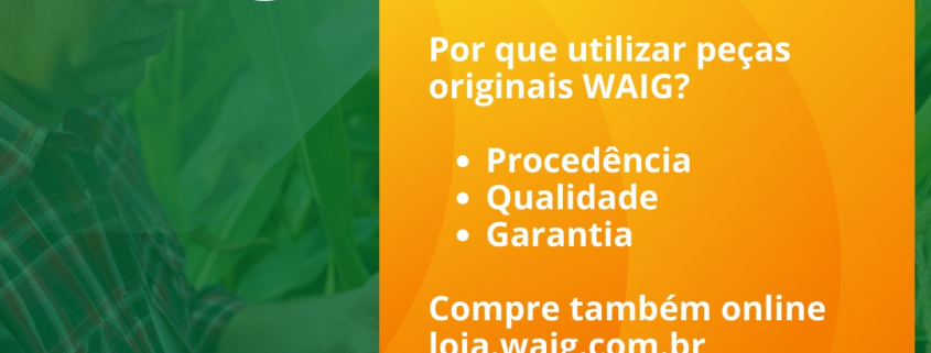 Peças originais WAIG