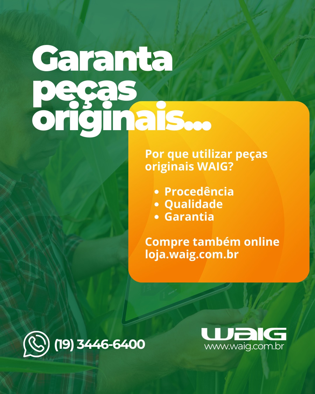 Peças originais WAIG